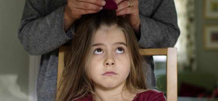 How to Get Ahead of Head Lice