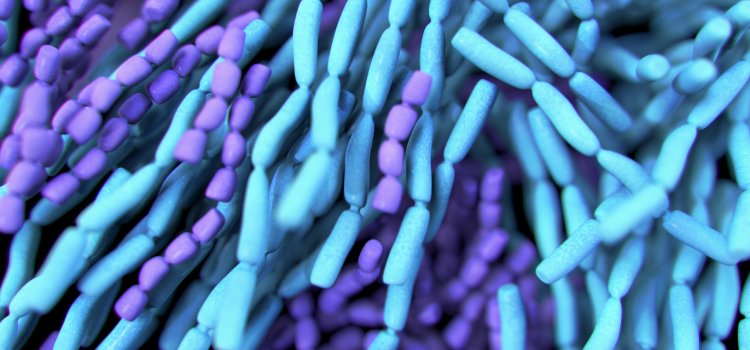 Health Benefits of Probiotics