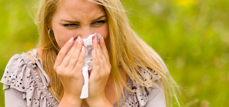 Prepare Early for Hayfever Season 2019