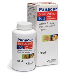 Panacur Suspension Wormer For Cats & Dogs 100ml