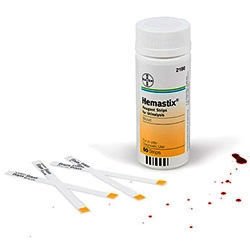 Hemastix Reagent Strips Pack of 50