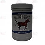 Cosequin Equine Powder 700g