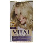 Vital Hair Colourant Light Ash Blonde 10-2