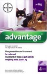 Advantage for Large Cats & Rabbits Pack of 4 Pipettes