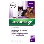 Advantage for Large Cats & Rabbits Pack of 4 Pipettes