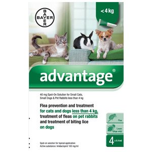 Advantage for Miniature Dogs, Cats & Rabbits Pack of 4