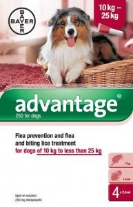 Advantage for Medium Dogs Pack of 4 Pipettes