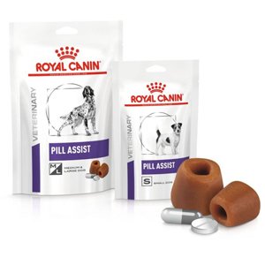 royal canin large dog