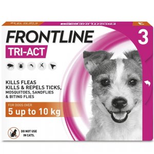 frontline small