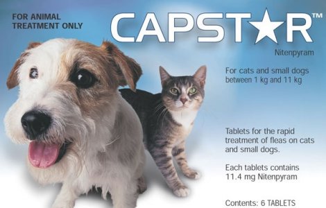 Capstar Flea Treatment for Small Dogs and Cats 1-11kg Pack of 6