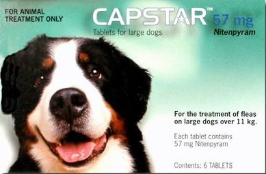 Capstar Flea Treatment Tablets for Dogs over 11kg 57mg Pack of 6