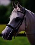 Equilibrium Net Relief Muzzle Net for Cob/Horse (White)